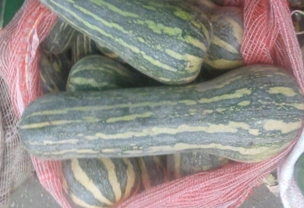 Ahuyama Sapayo