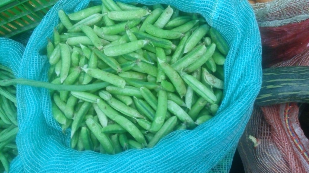 Arveja en cascara