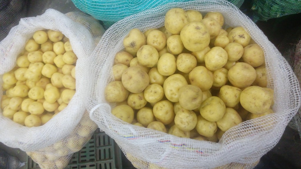 Papa criolla fina