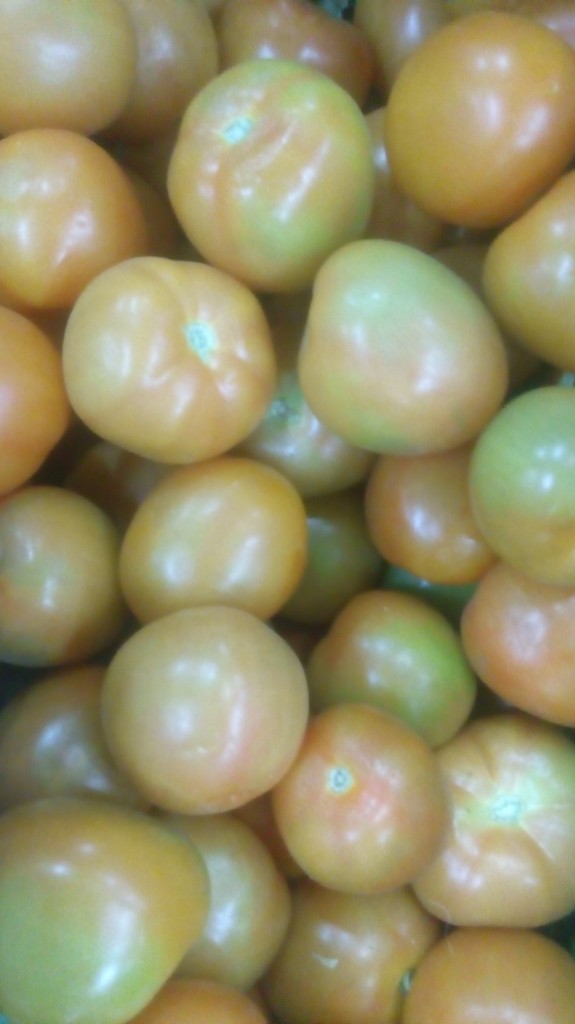 Tomate de primera