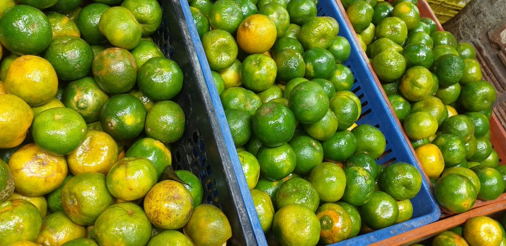 Mandarina oneco