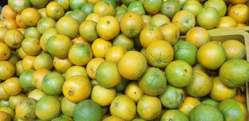 Naranja valencia 2da