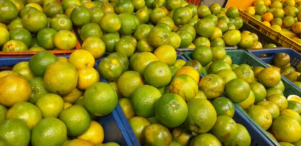 Naranja valencia