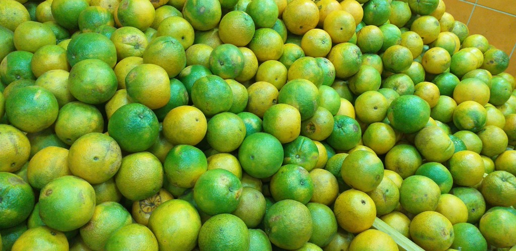 Naranja washington