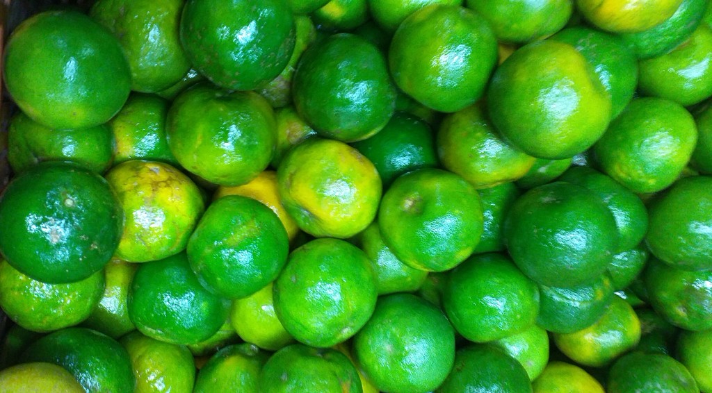 Mandarina oneco 2da