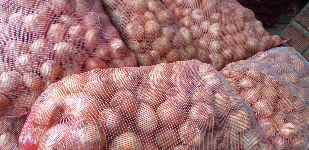 Cebolla blanca gruesa