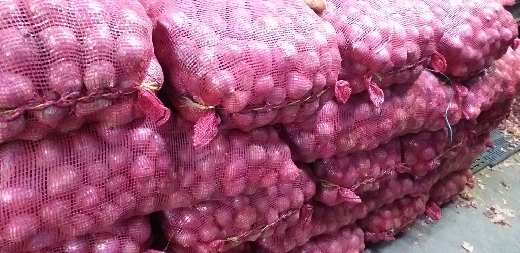 Cebolla ocañera