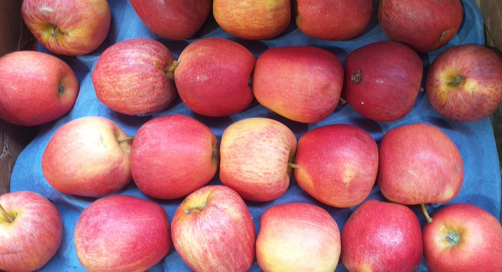 Manzana gala calibre 100