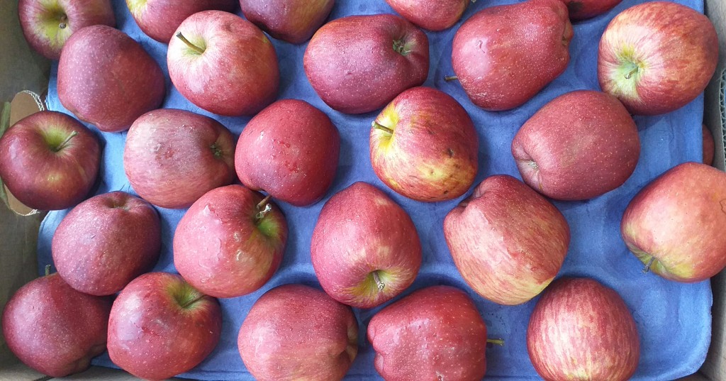 Manzana roja calibre 125