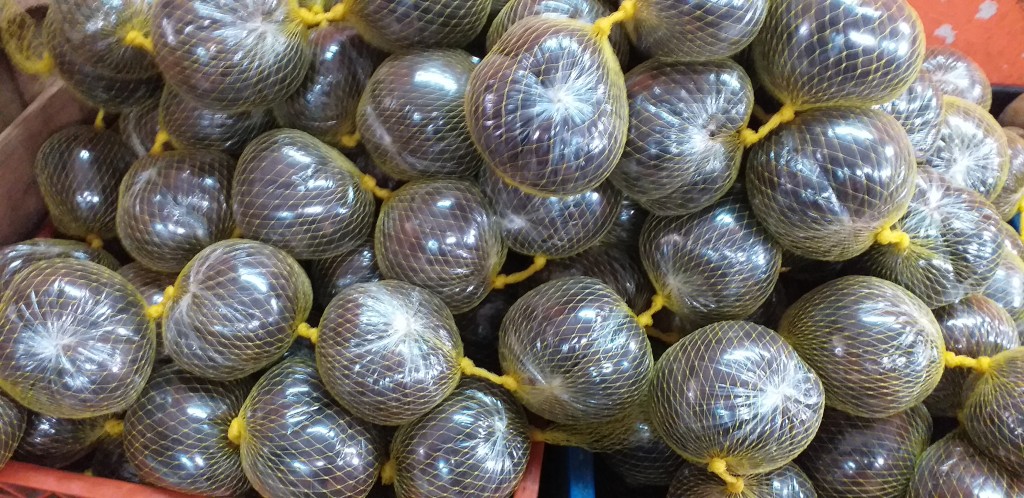 Borojo en malla