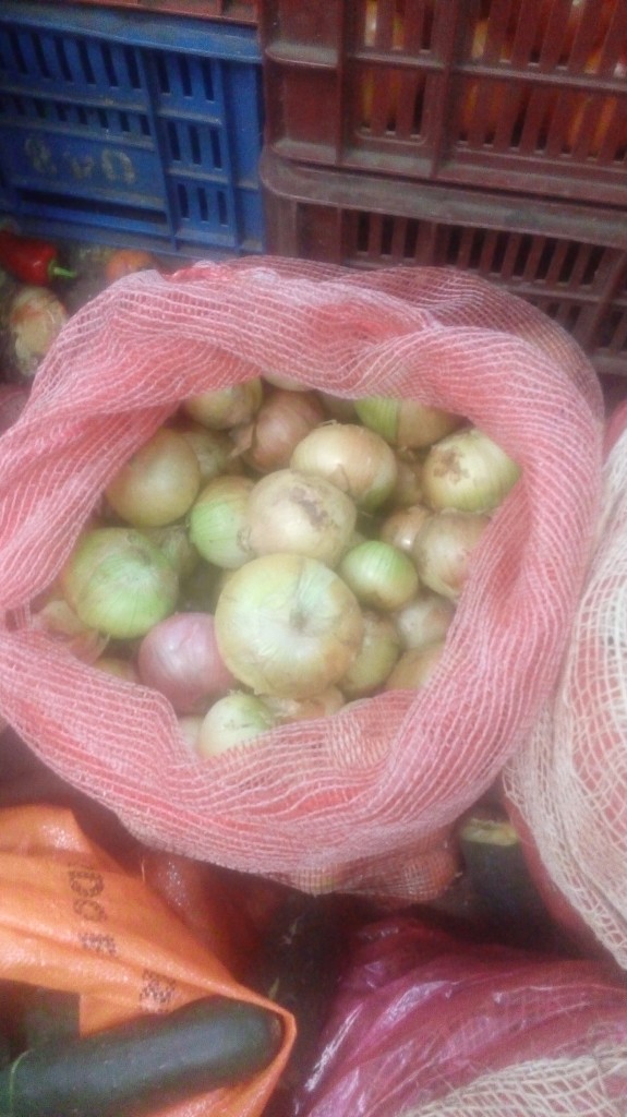 Cebolla cabezona gruesa