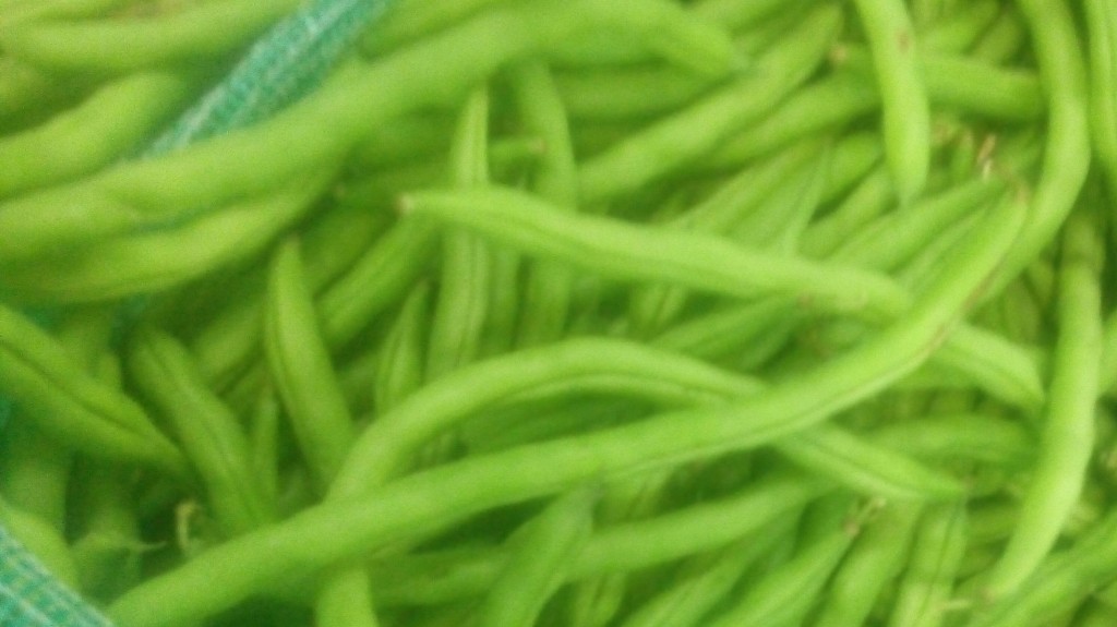 Habichuelas
