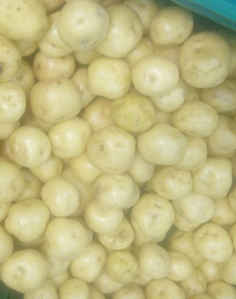 Papá criolla