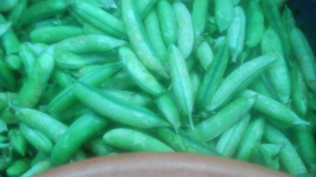 Arveja en cascara