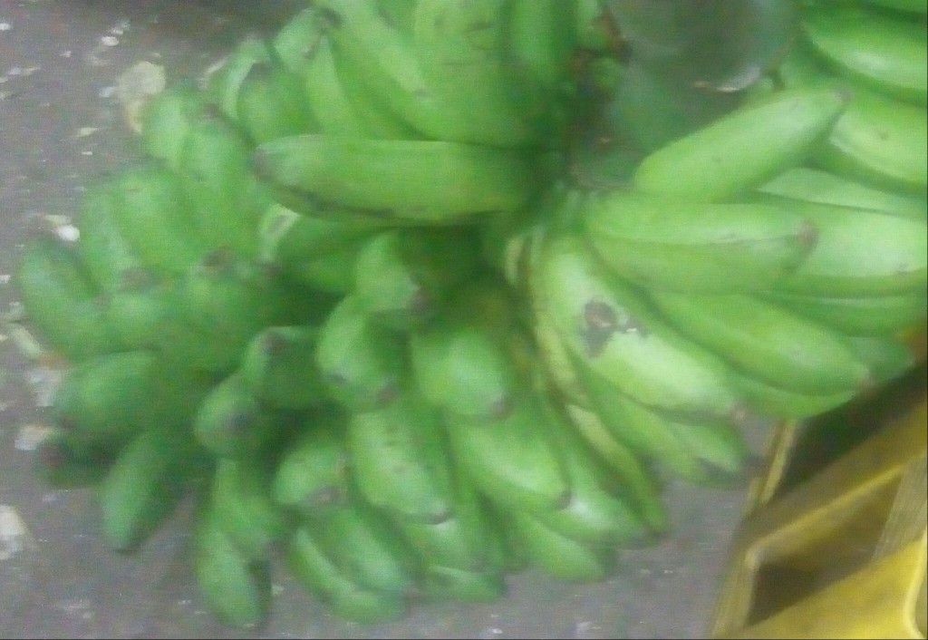 Colicero