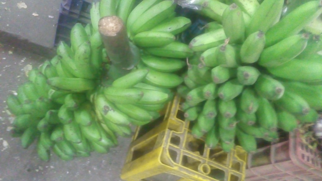 Colicero
