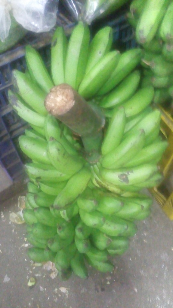 Colicero
