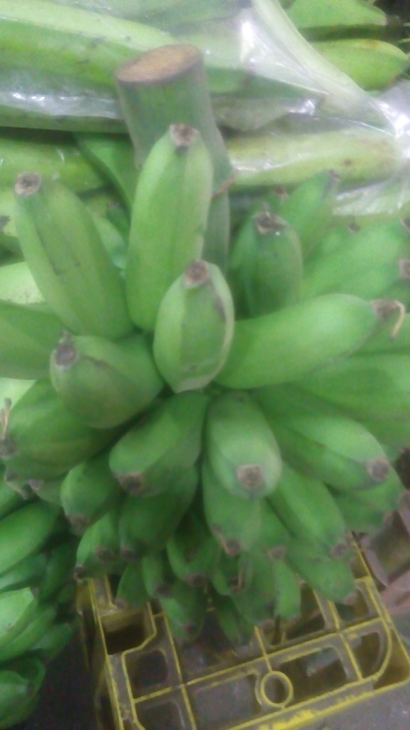 Colicero