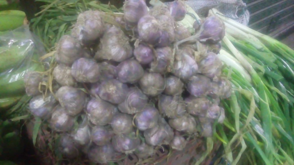 Ajo en rama