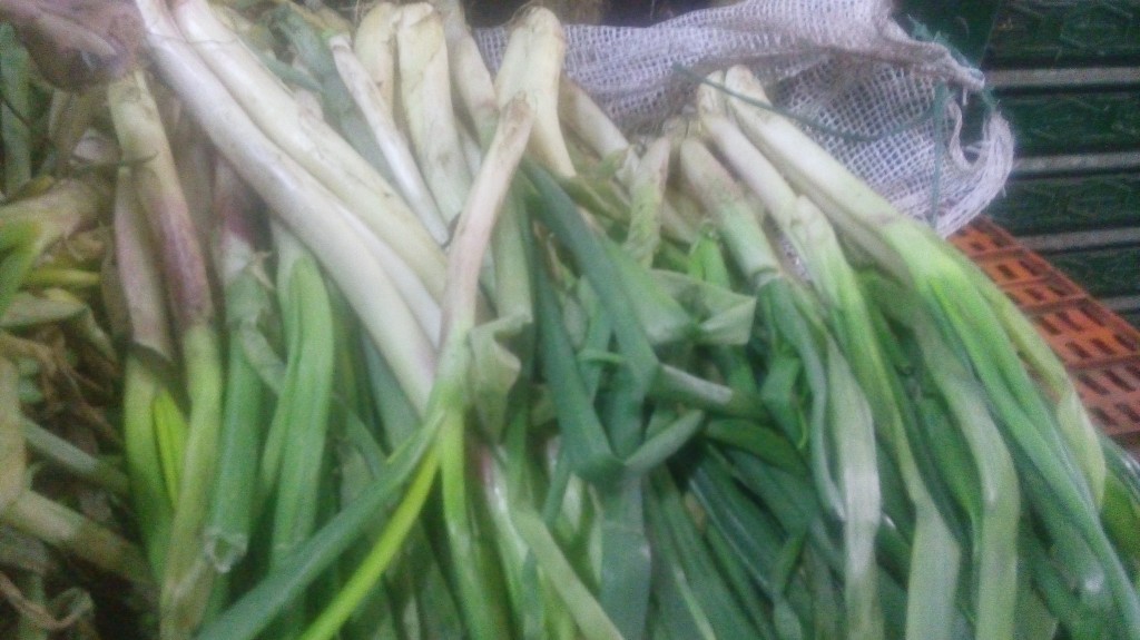 Cebolla larga