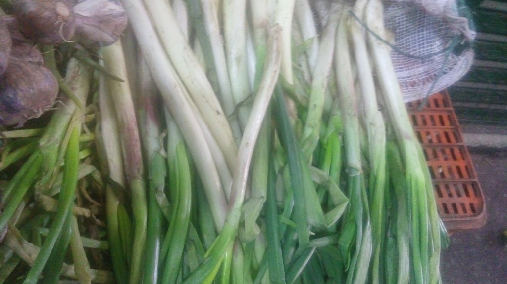 Cebolla larga
