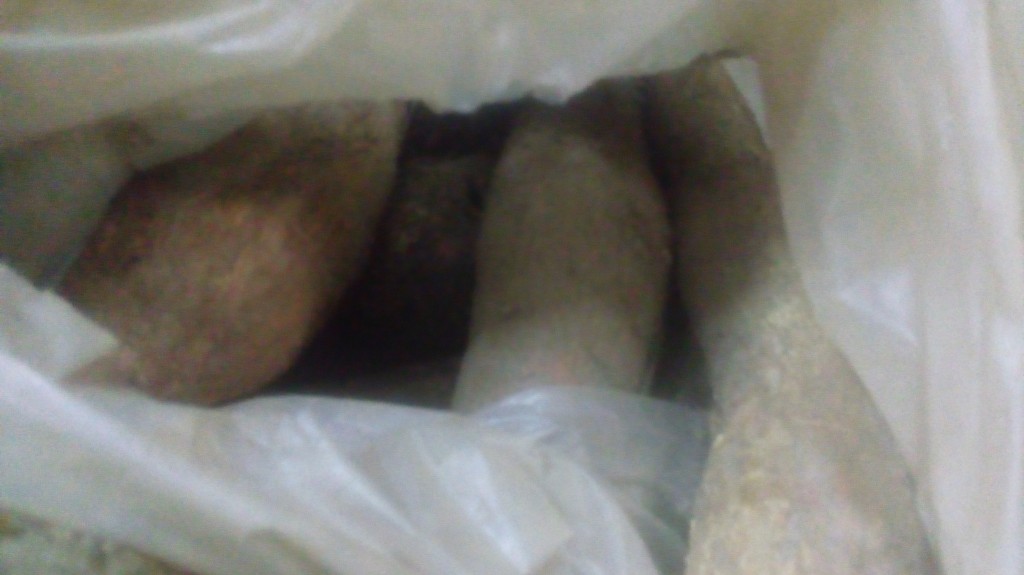 Yuca
