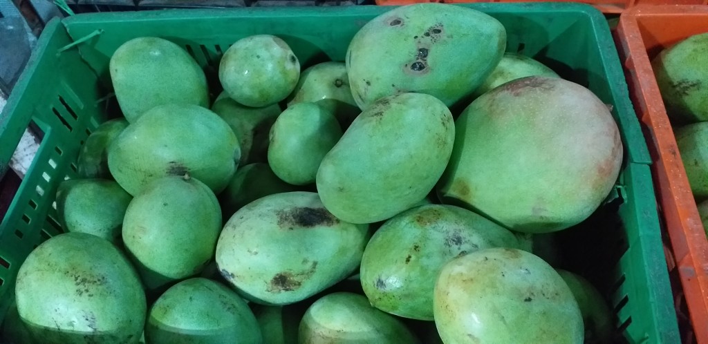 Mango filipino