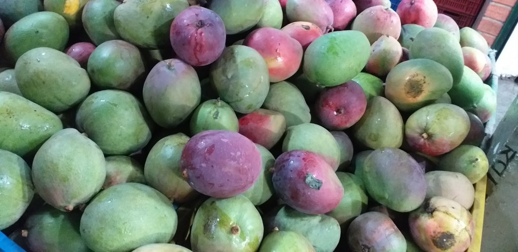 Mango farchi