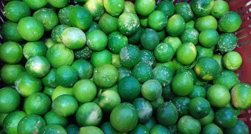 Limon mandarino