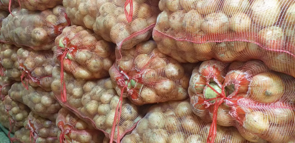 Cebolla blanca gruesa