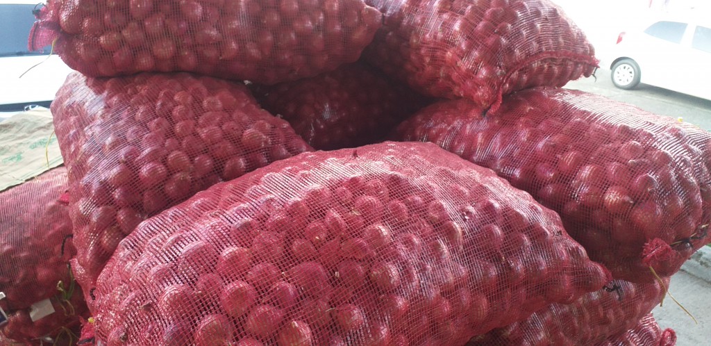 Cebolla ocañera