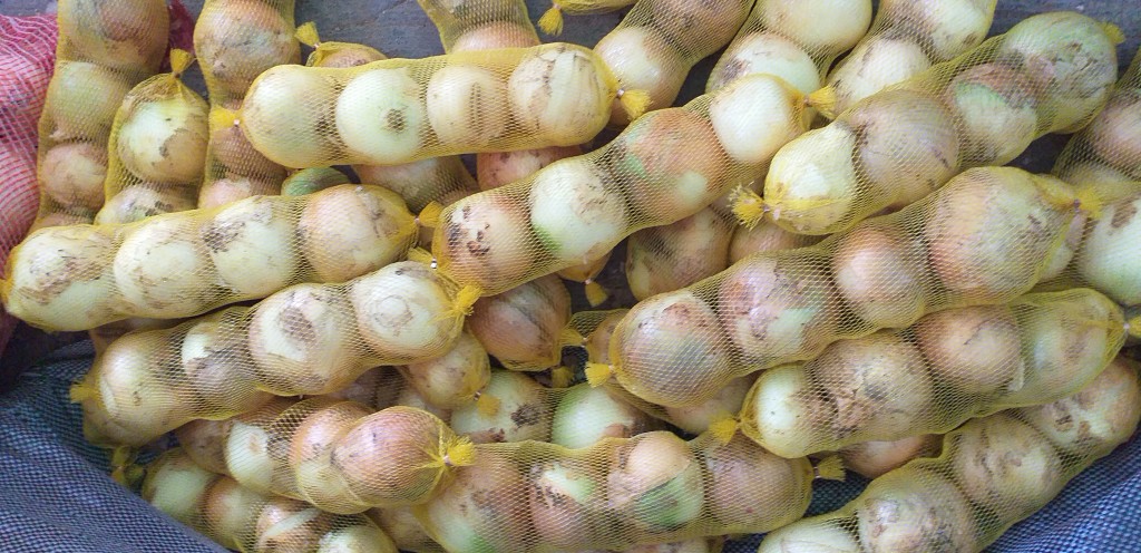 Cebolla en malla/4 pepas