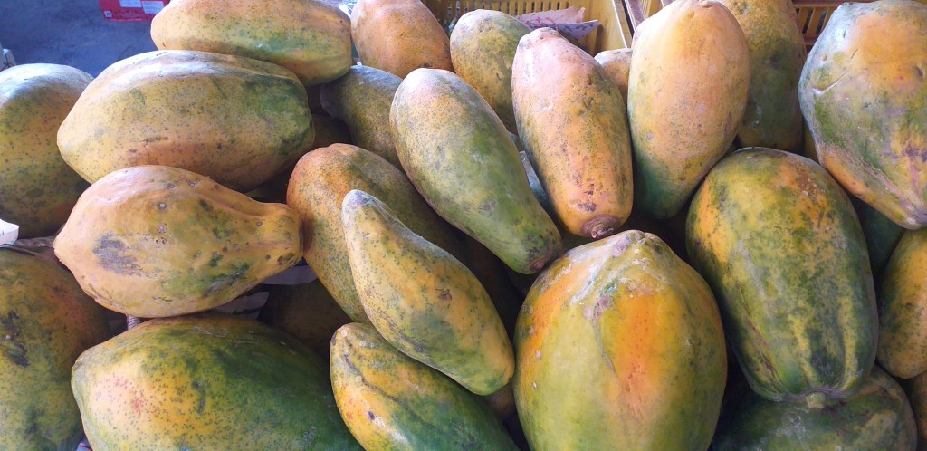 Papaya costeña