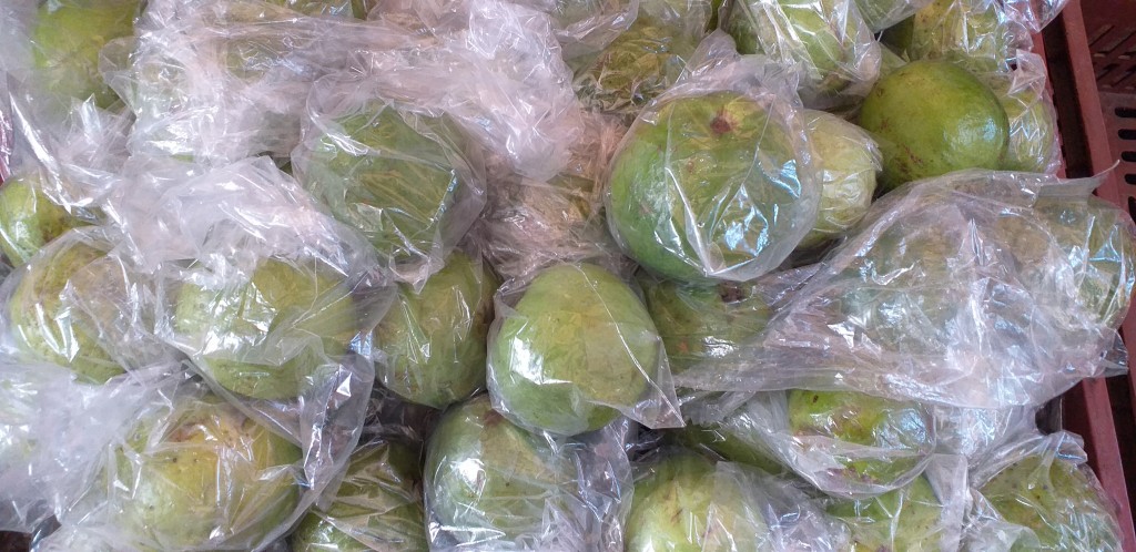 Guayaba Manzana