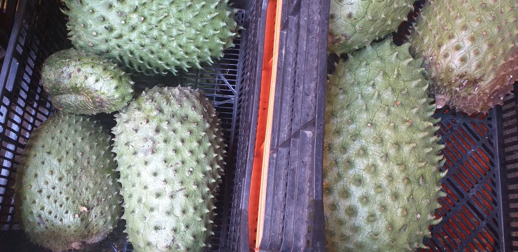 Guanabana