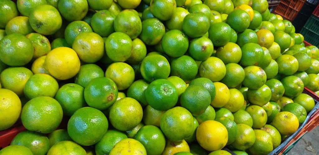 Naranja valencia 1ra