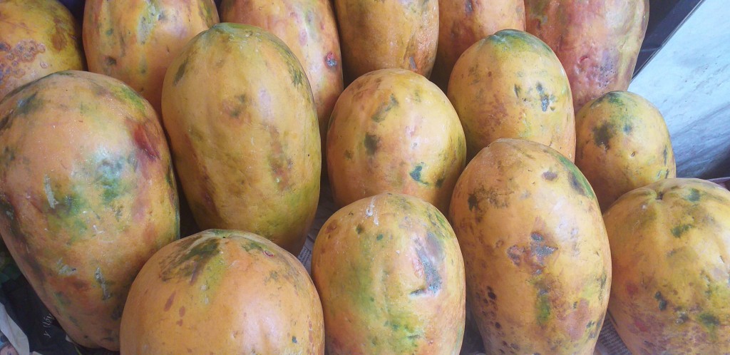 Papaya costeña