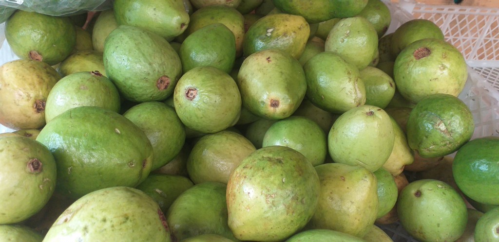 Guayaba pera