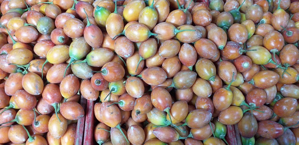 Tomate de arbol