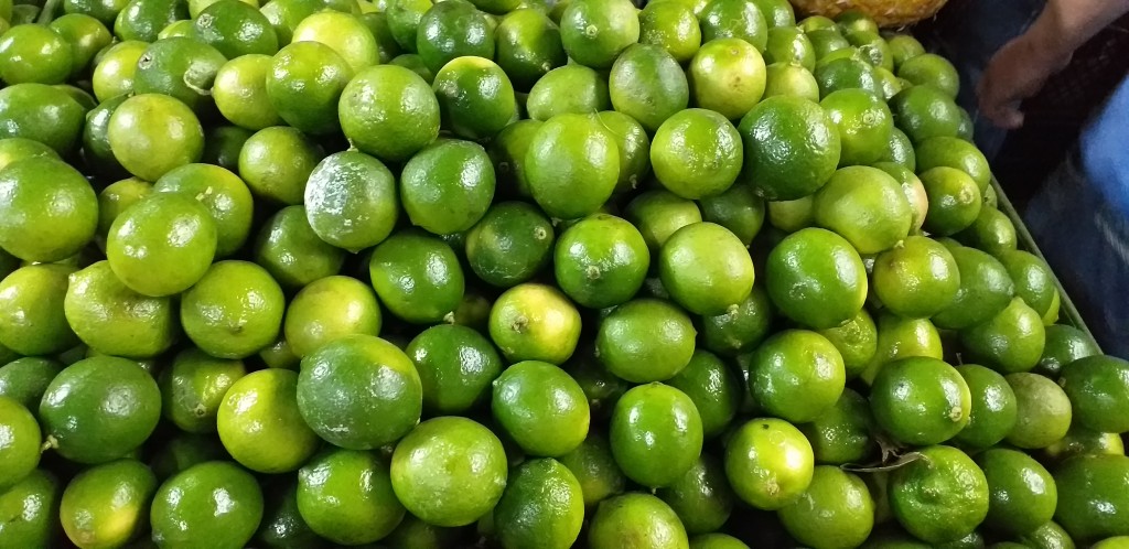 Limon tahiti