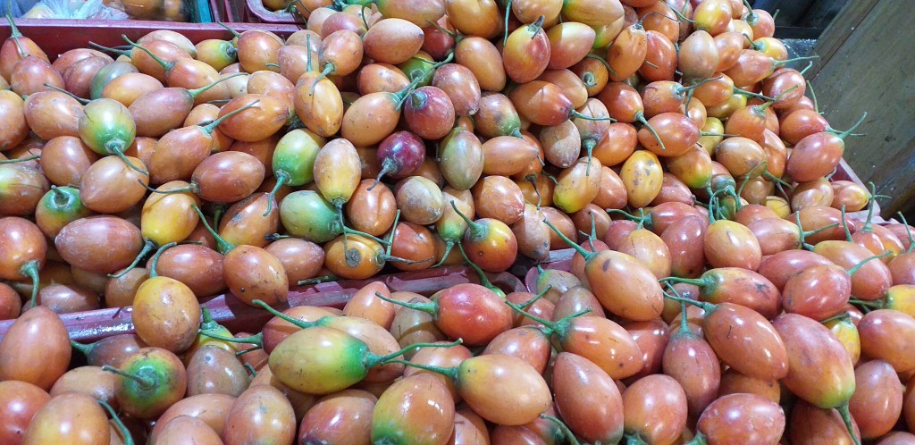 tomate de arbol selecto