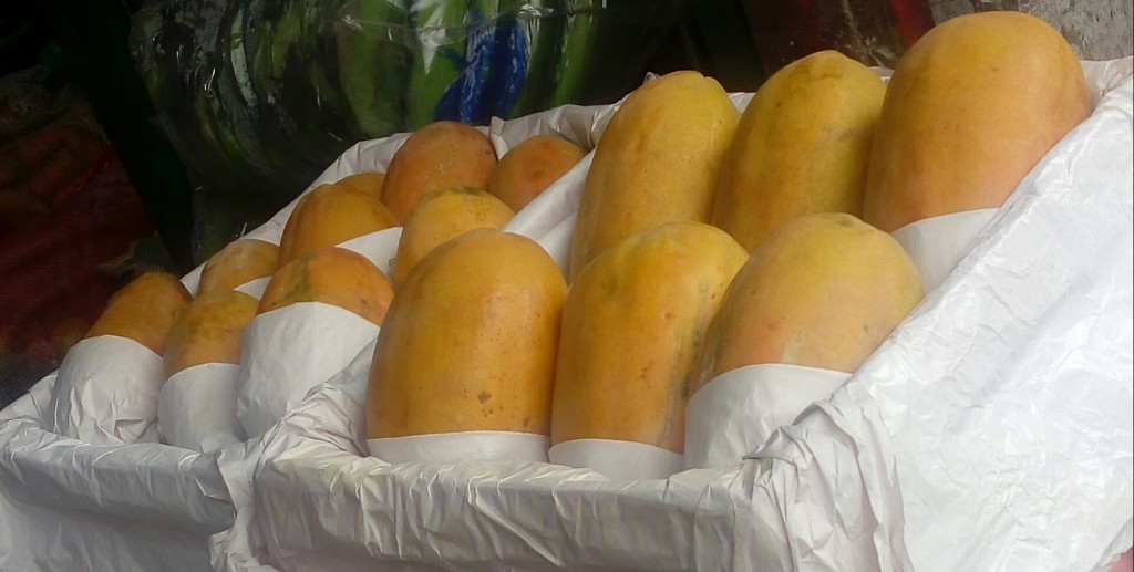 Papaya