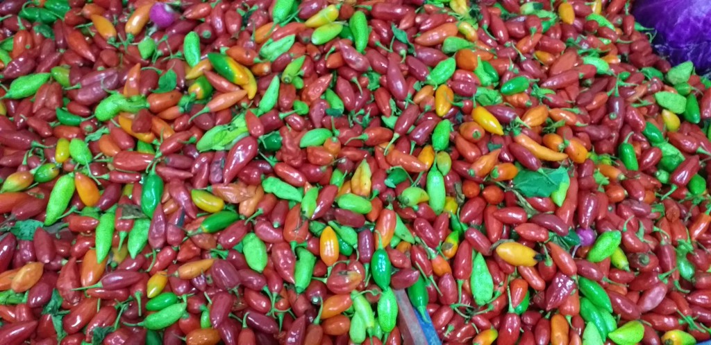 Aji dulce