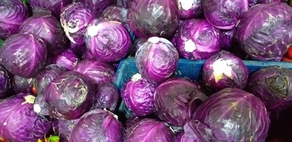 Repollo morado