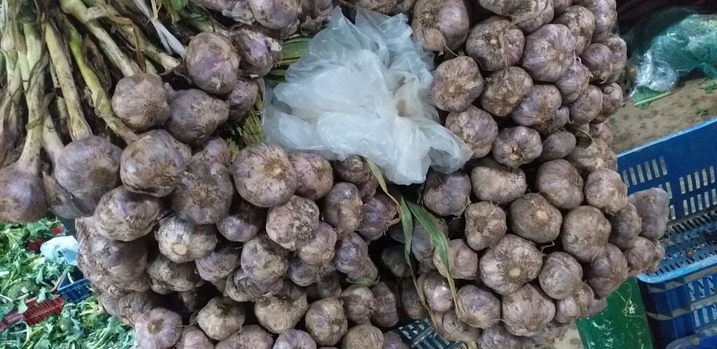 Ajo criollo