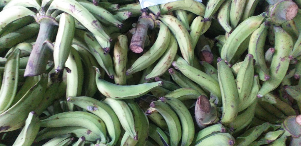 Platano verde