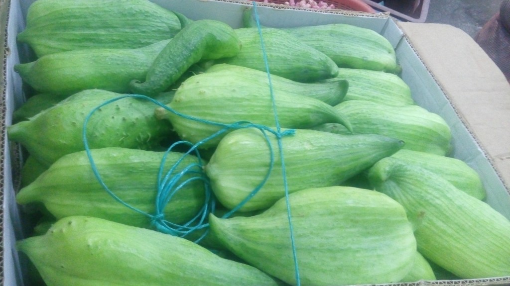 Pepino para guiso