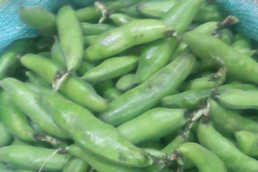 Abas en cascara