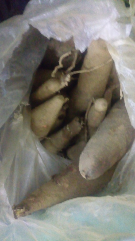 Yuca