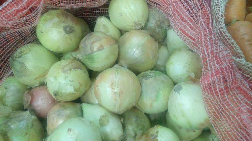 Cebolla cabezona